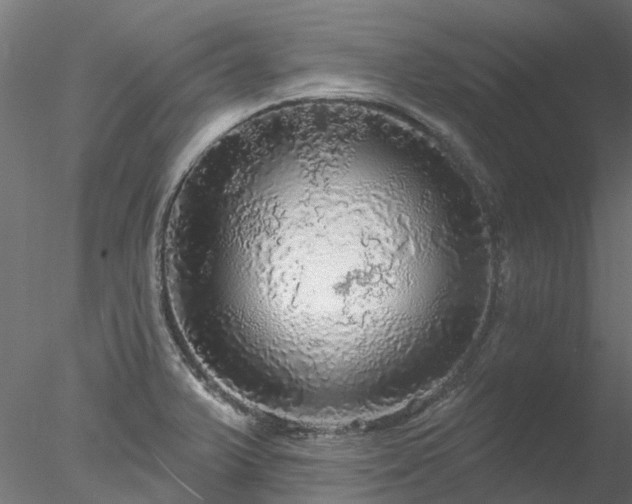 X0000078011375200611031419