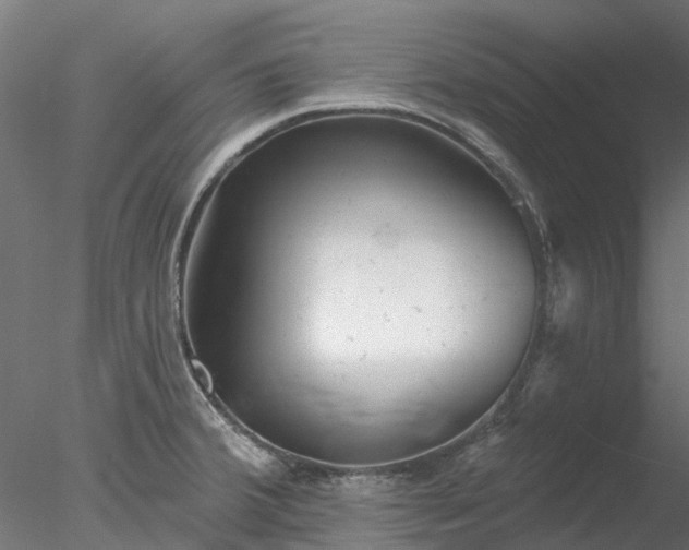 X0000078011380200611031419