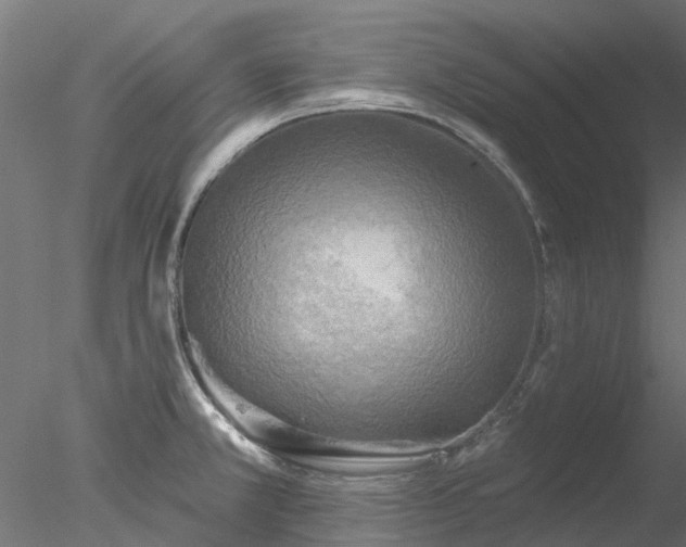 X0000078011381200611031419