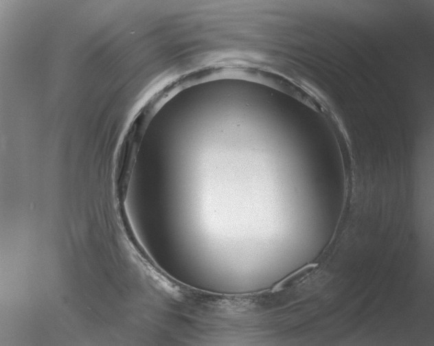 X0000078011384200611031419