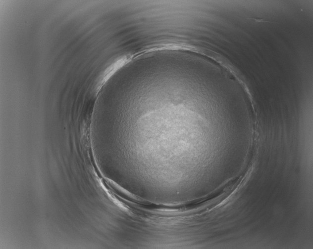 X0000078011385200611031419