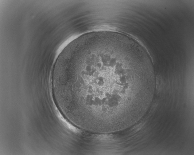 X0000078011387200611031419