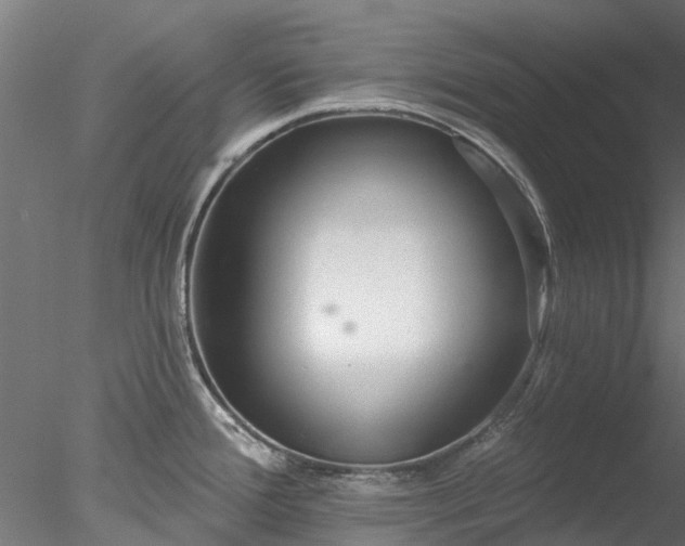 X0000078011388200611031419