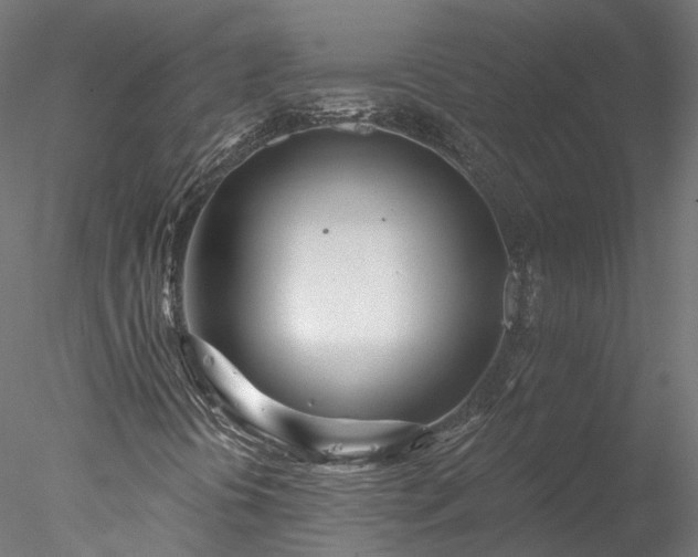 X0000078011394200611031418