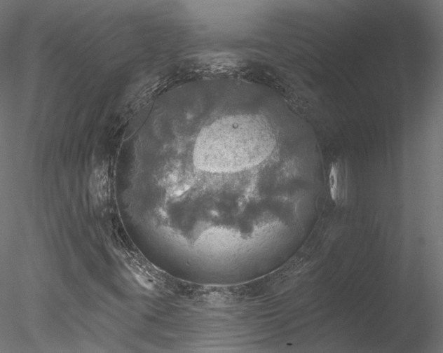 X0000078011395200611031418