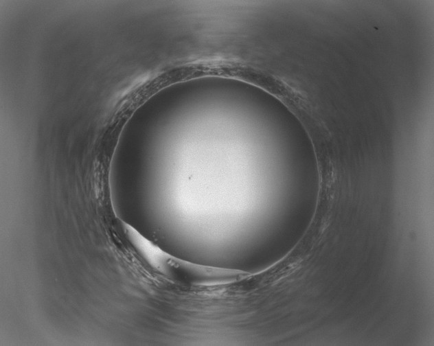 X0000078011398200611031418