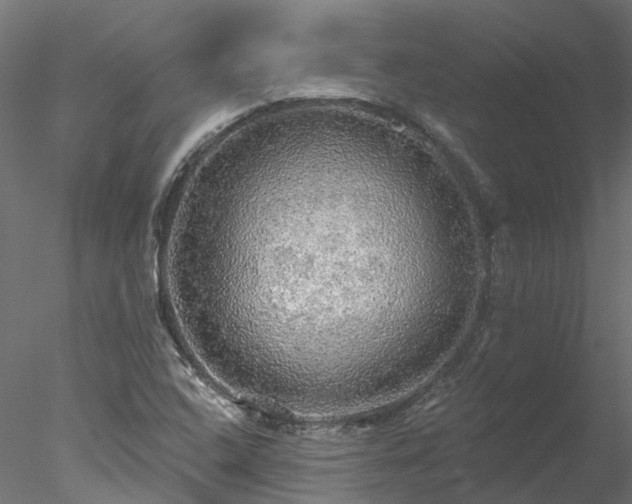 X0000078011408200611031418