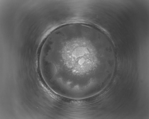 X0000078011415200611031418