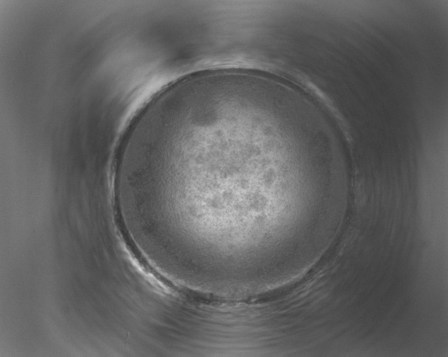 X0000078011416200611031418