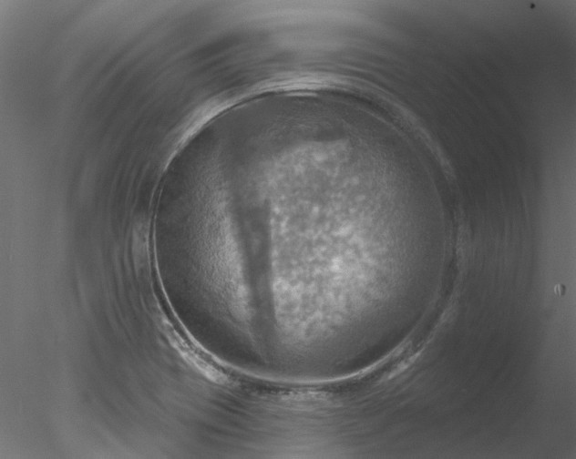 X0000078011417200611031418