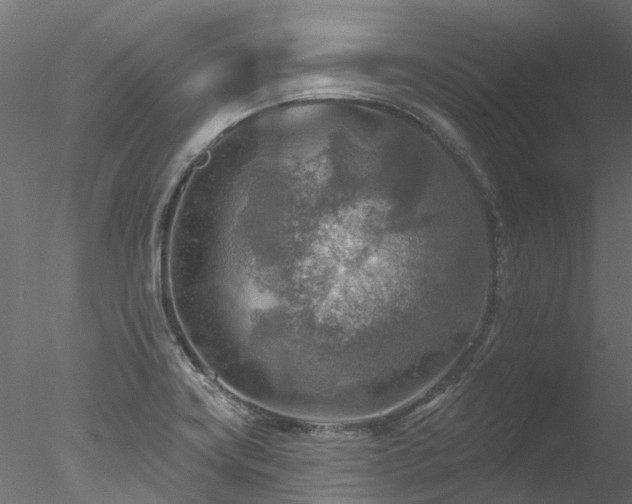 X0000078011419200611031418