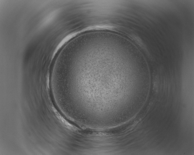 X0000078011420200611031418