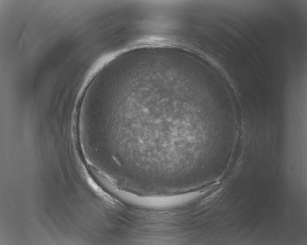 X0000078011421200611031418