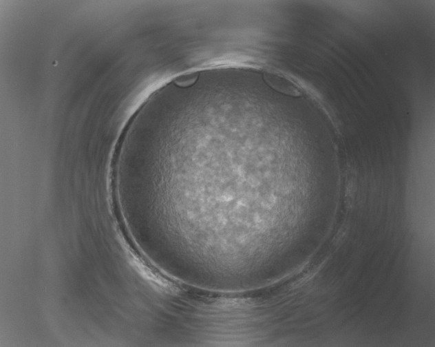 X0000078011423200611031418