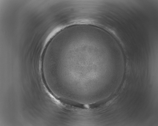 X0000078011424200611031418