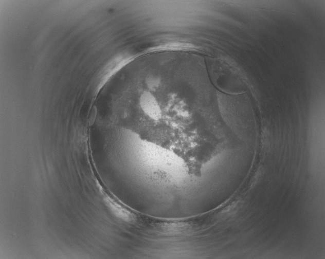 X0000078011425200611031418