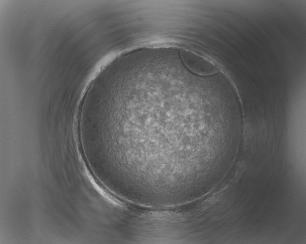 X0000078011429200611031418