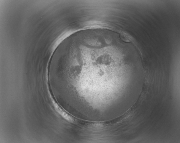 X0000078011431200611031419