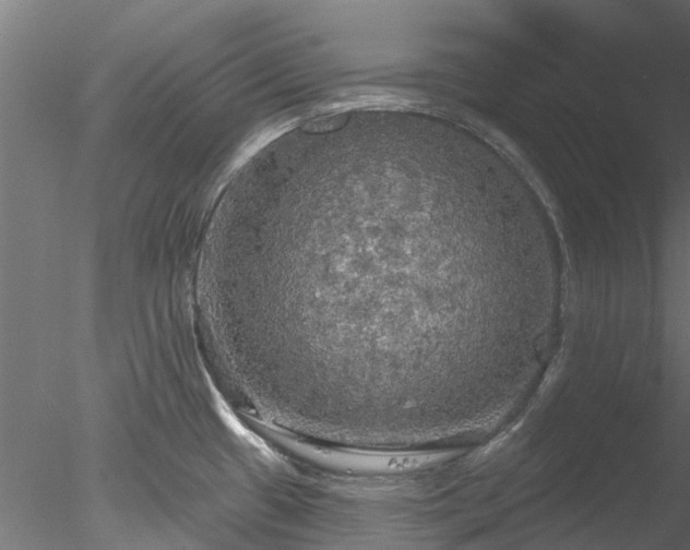 X0000078011433200611031419