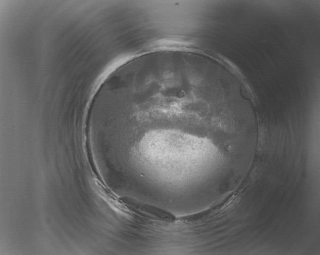 X0000078011435200611031419