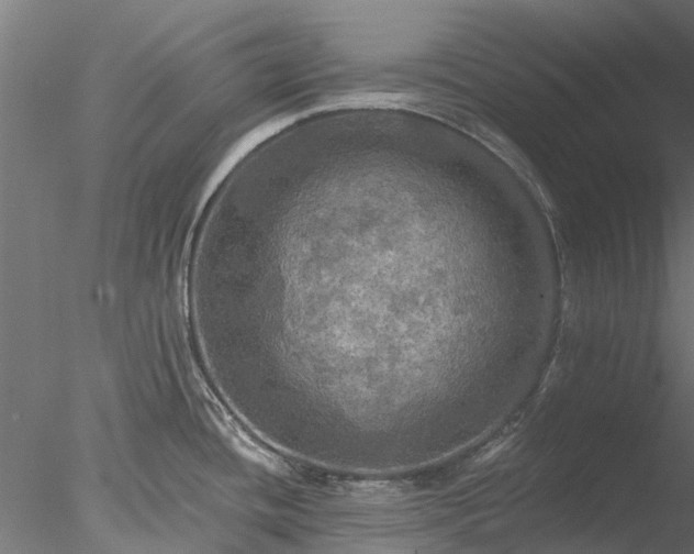 X0000078011436200611031419