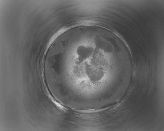 X0000078011437200611031419