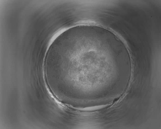 X0000078011440200611031419