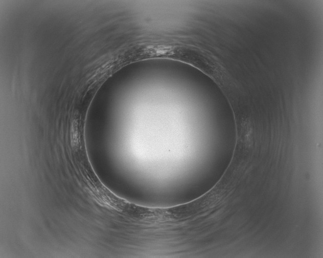 X0000078011442200611031418