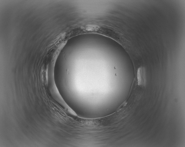 X0000078011443200611031418