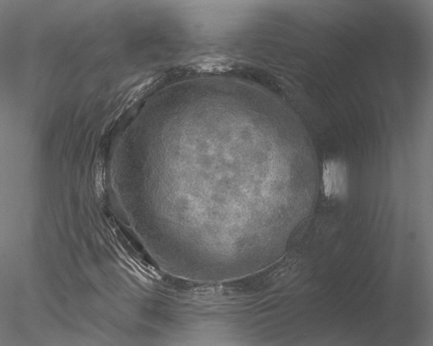 X0000078011444200611031418