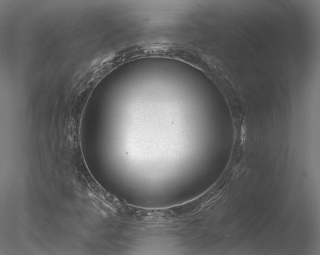 X0000078011445200611031418