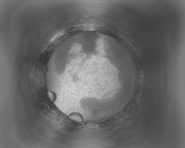 X0000078011446200611031418