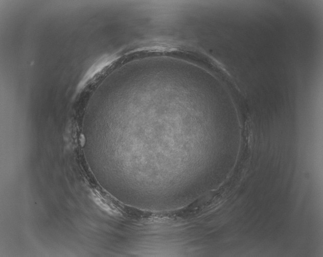 X0000078011448200611031418