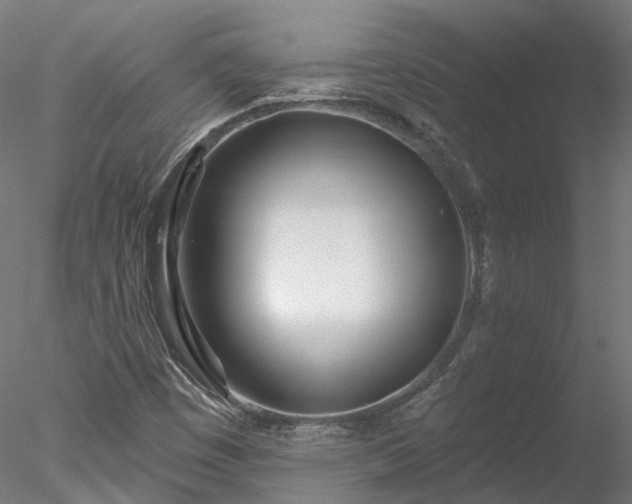 X0000078011449200611031418