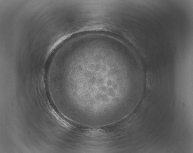 X0000078011452200611031418