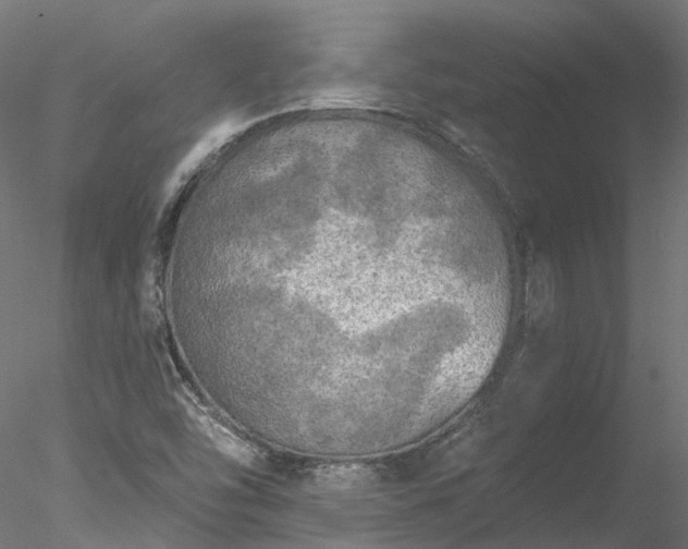 X0000078011454200611031418