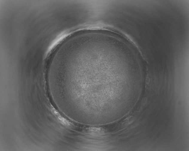 X0000078011456200611031418