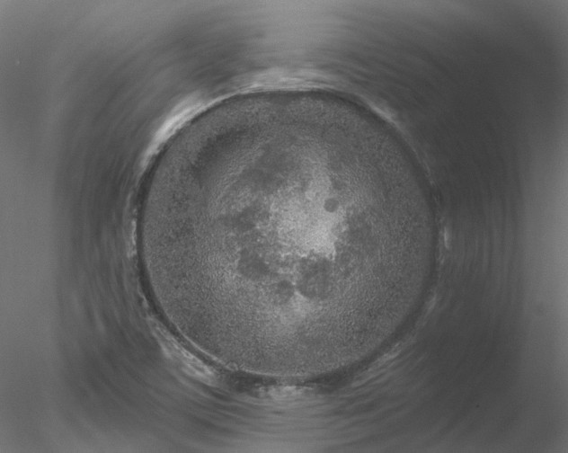 X0000078011459200611031418