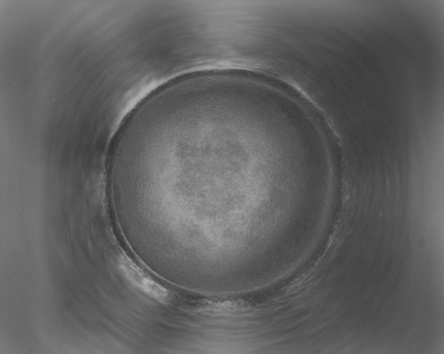 X0000078011460200611031418