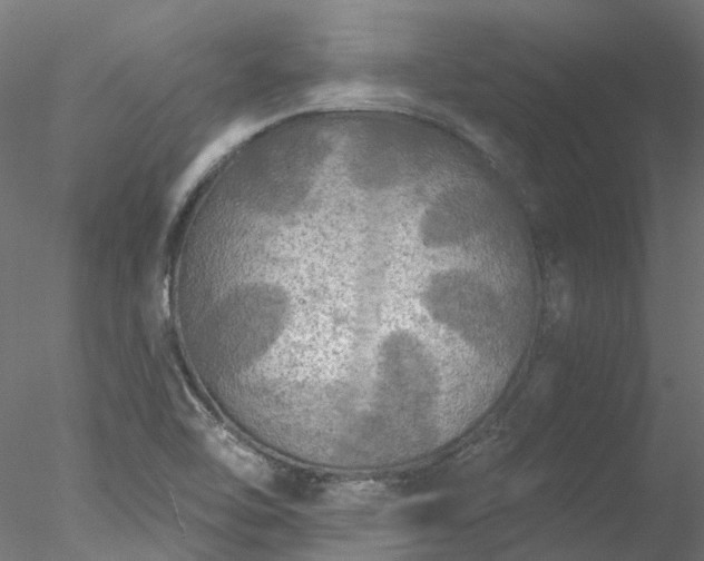 X0000078011462200611031418