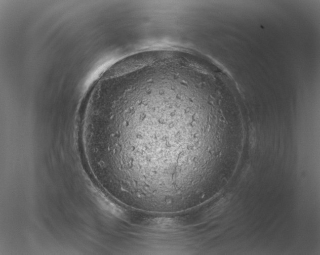 X0000078011463200611031418