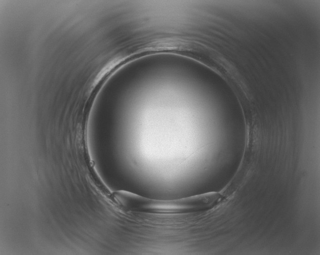 X0000078011465200611031417