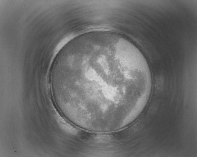 X0000078011466200611031417