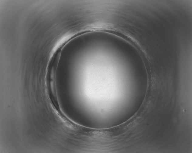 X0000078011469200611031417