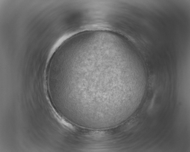 X0000078011470200611031417