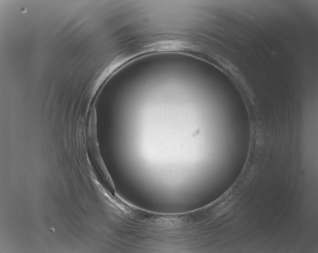 X0000078011473200611031417