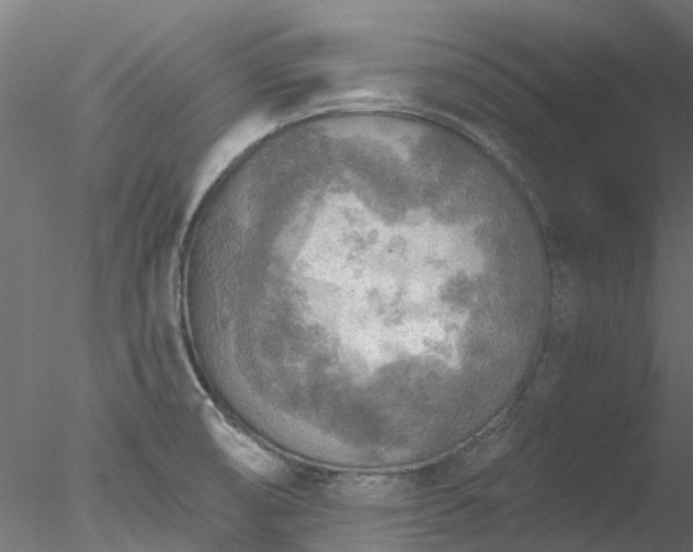 X0000078011474200611031417