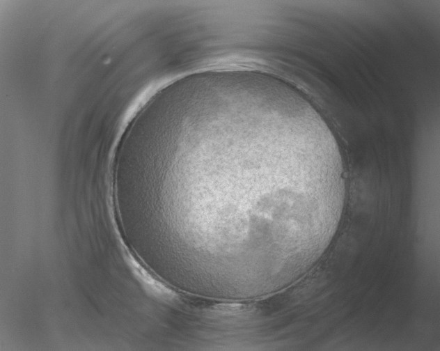 X0000078011478200611031417