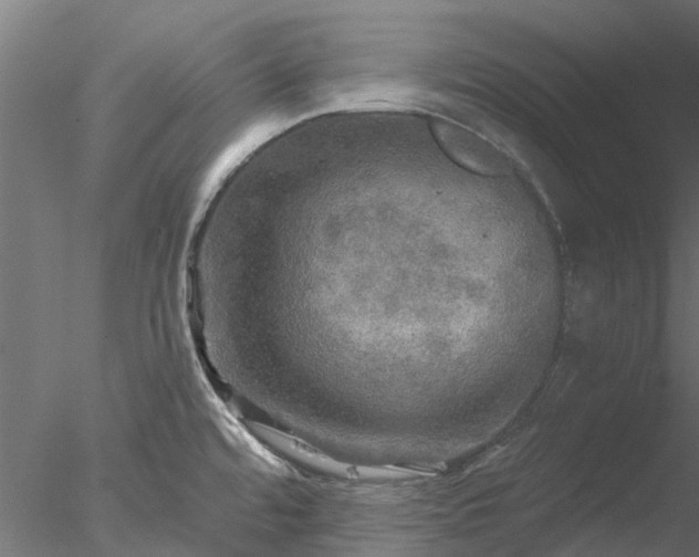 X0000078011480200611031417