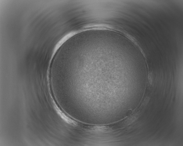 X0000078011482200611031417